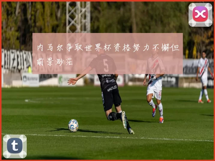 内马尔争取世界杯资格努力不懈但前景渺茫